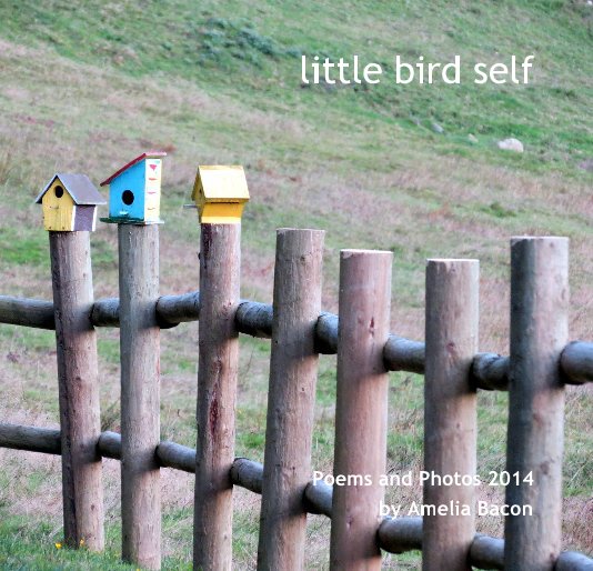 View little bird self by Amelia Bacon