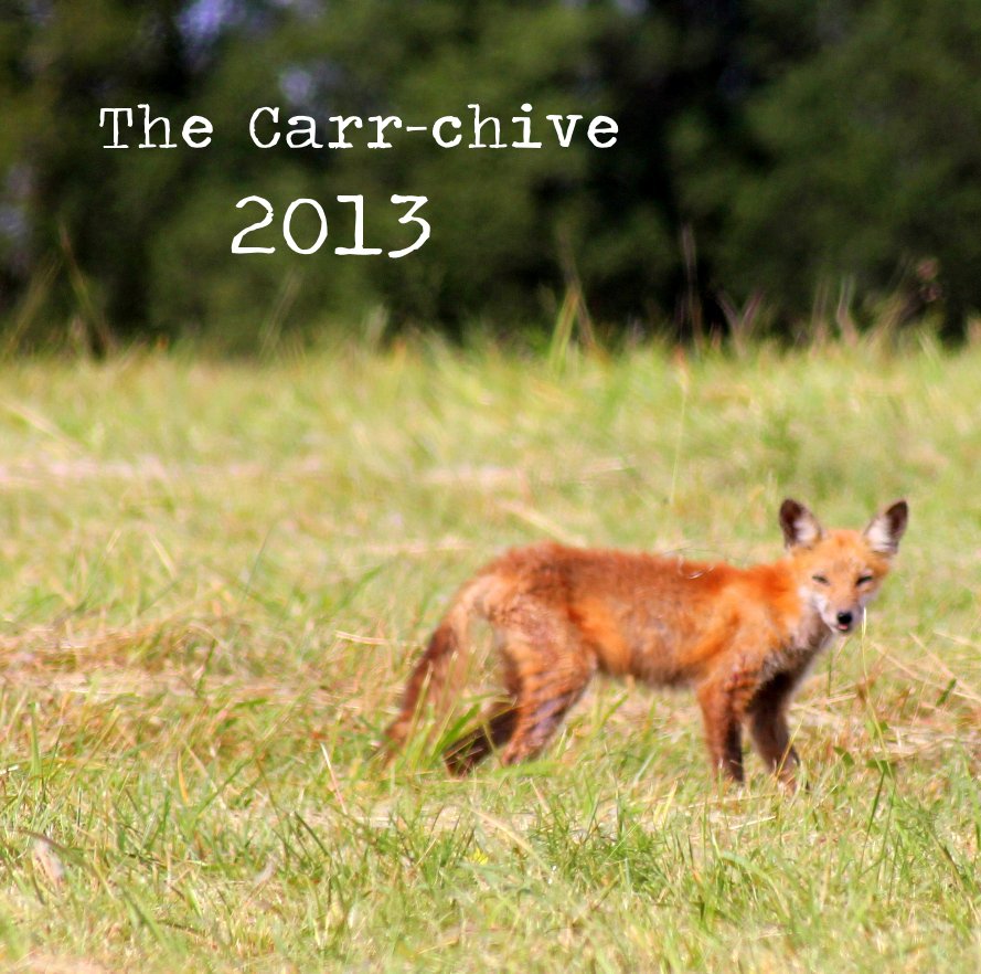 Visualizza The Carr-chive 2013 di CBASLE