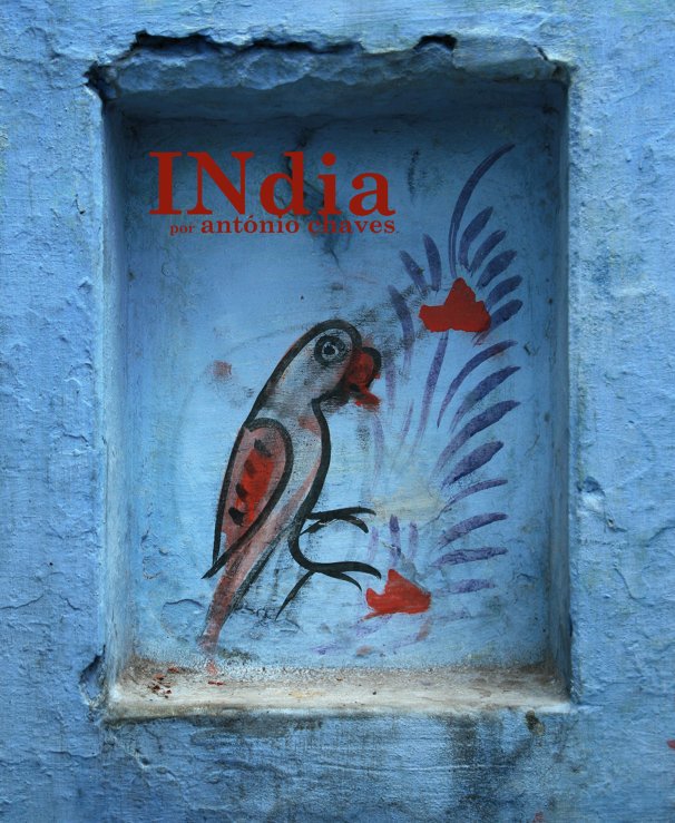 View INdia by Antonio Chaves