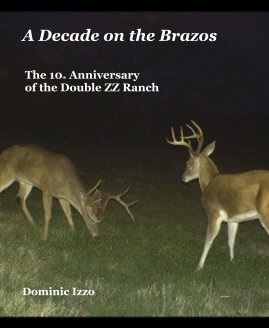 A Decade on the Brazos book cover