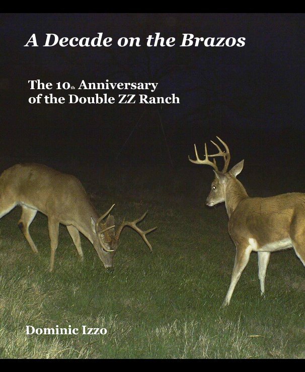 View A Decade on the Brazos by Dominic Izzo