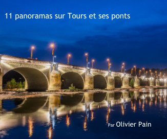 11 panoramas sur Tours et ses ponts book cover