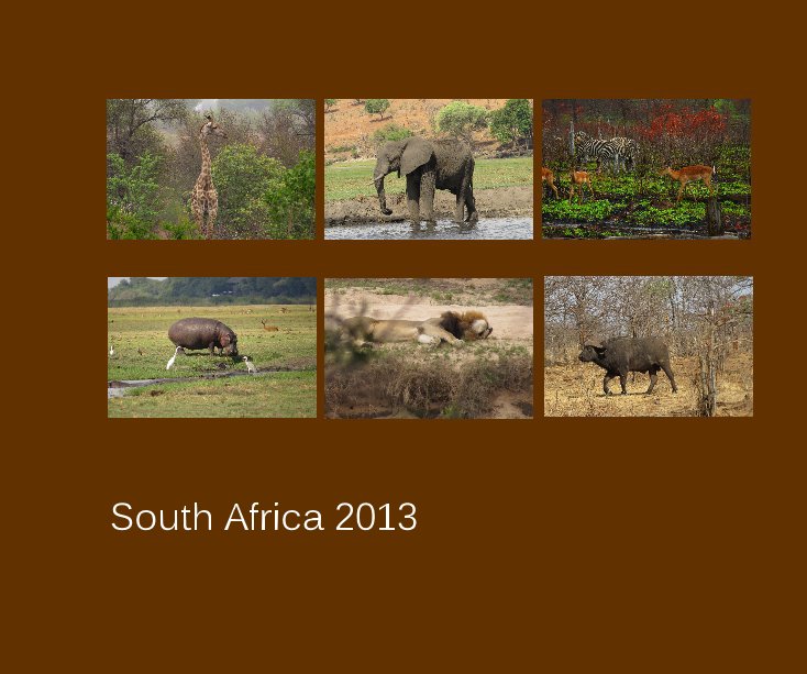 View South Africa 2013 by Wendyjob