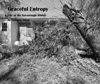 Graceful Entropy book cover