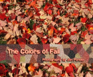 The Colors of Fall book cover