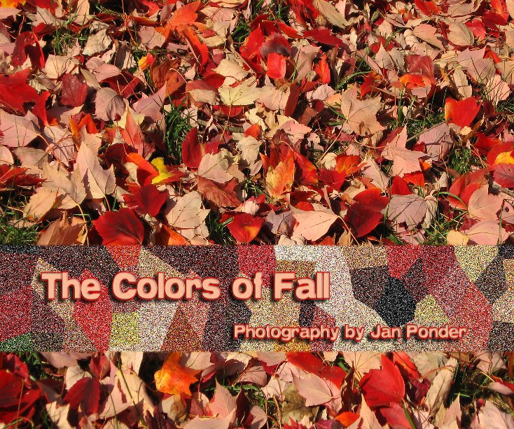 View The Colors of Fall by Jan Ponder