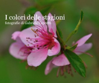 I colori delle stagioni fotografie di Gabriele Capretti book cover
