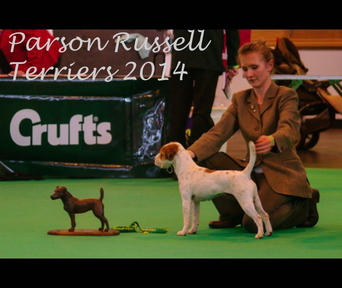 View Parson Russell Terriers by G Blair