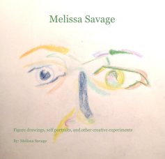 Melissa Savage book cover