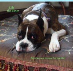 Lola the Boxer book cover