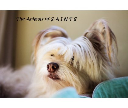 The Animals of S.A.I.N.T.S book cover
