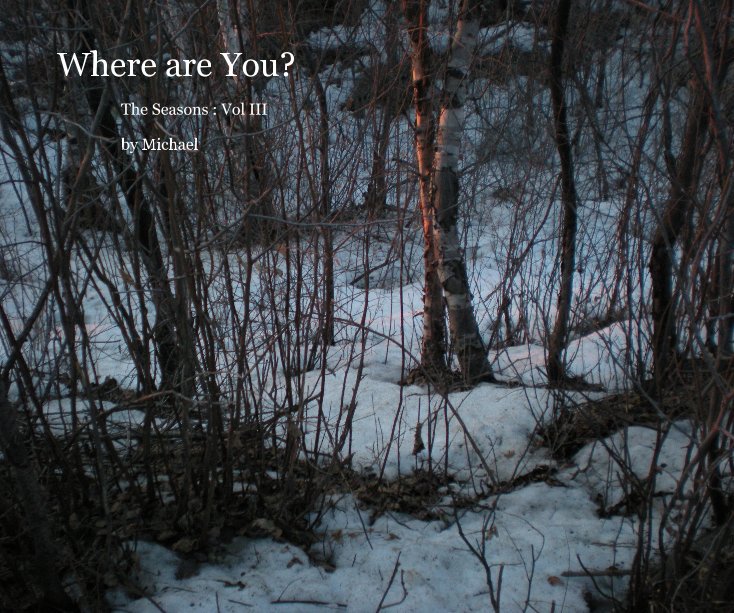 Ver Where are You? por Michael