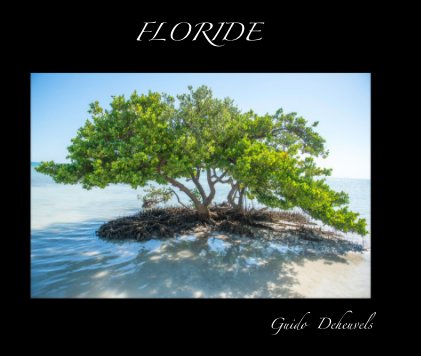 FLORIDE book cover