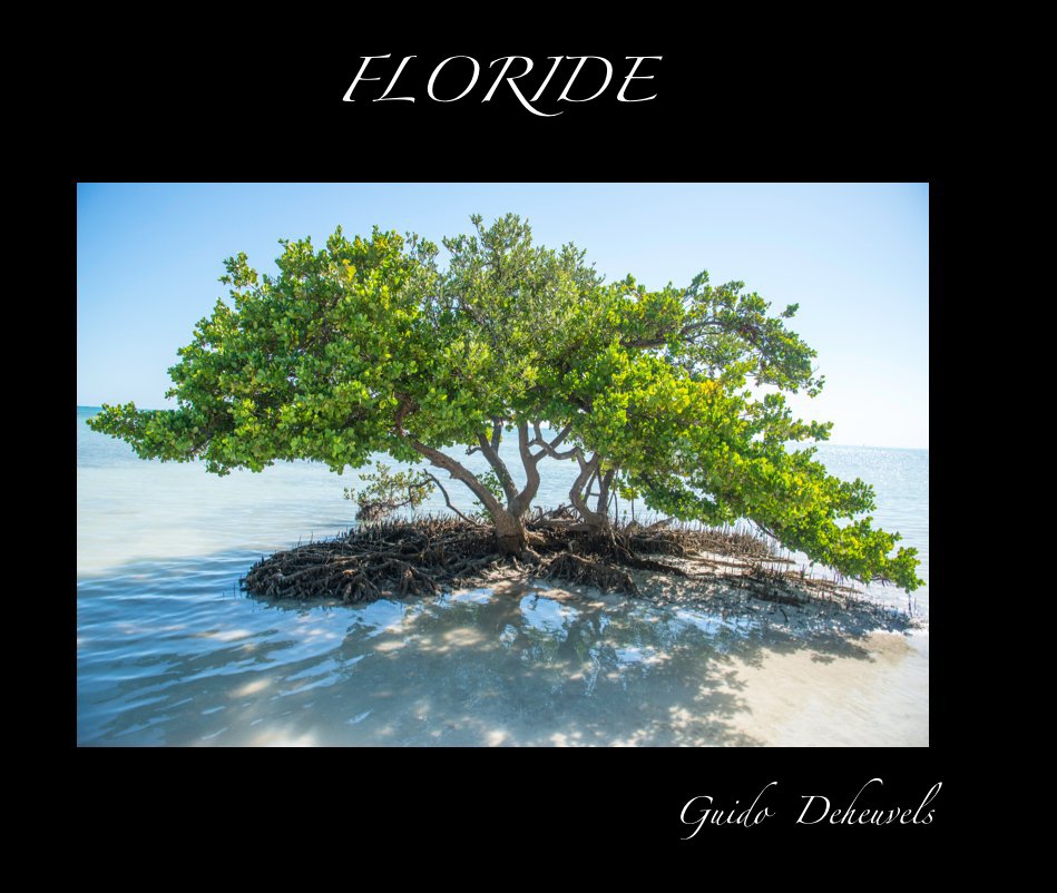 View FLORIDE by Guido Deheuvels