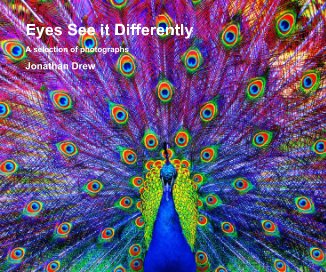 Eyes See it Differently book cover