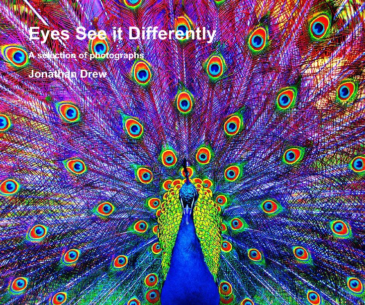 Ver Eyes See it Differently por Jonathan Drew