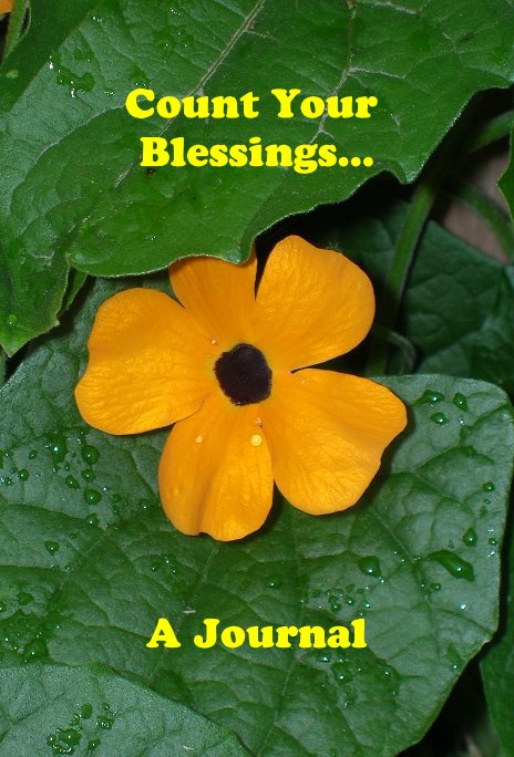 View Count Your Blessings... by A Journal