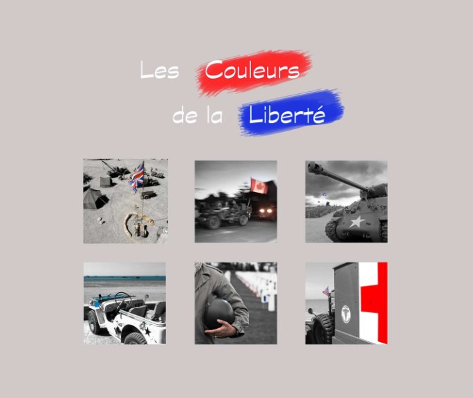 View Les Couleurs de la Liberté by Michel Dehaye