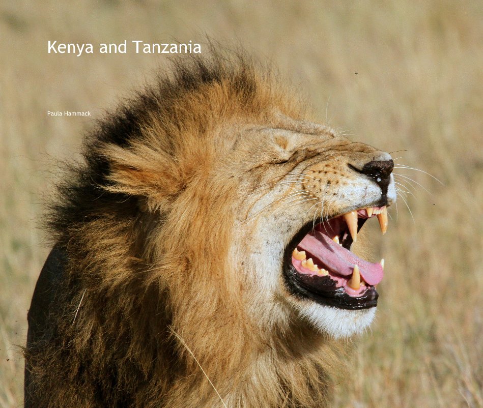 View Kenya and Tanzania by Paula Hammack