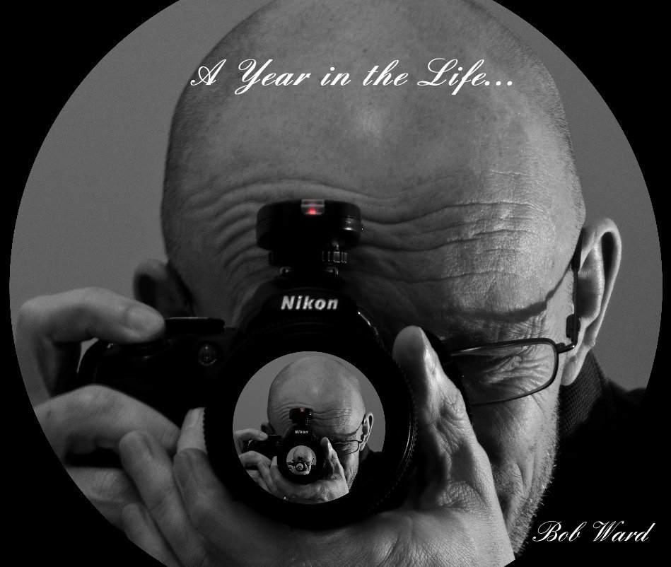 Ver A Year in the Life... por Bob Ward