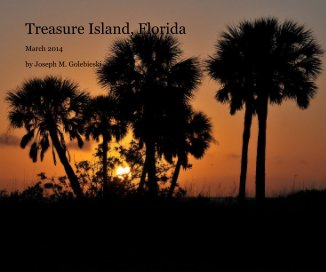 Treasure Island, Florida 2014 book cover
