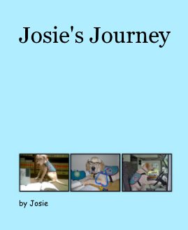 Josie's Journey book cover