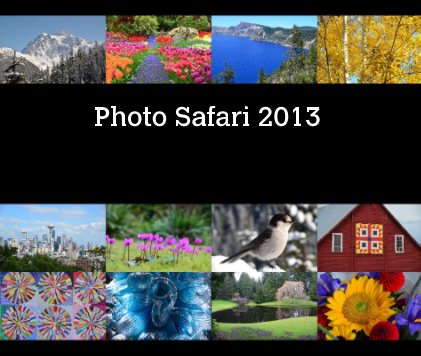 Photo Safari 2013 book cover