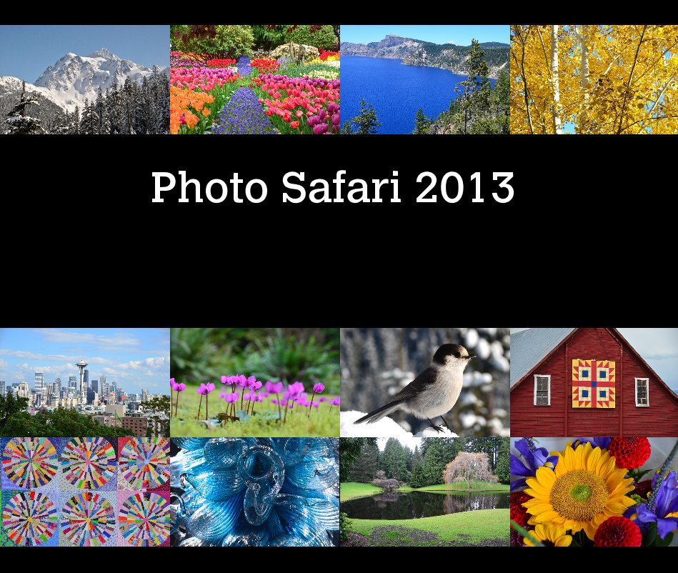 Ver Photo Safari 2013 por Msgrizz