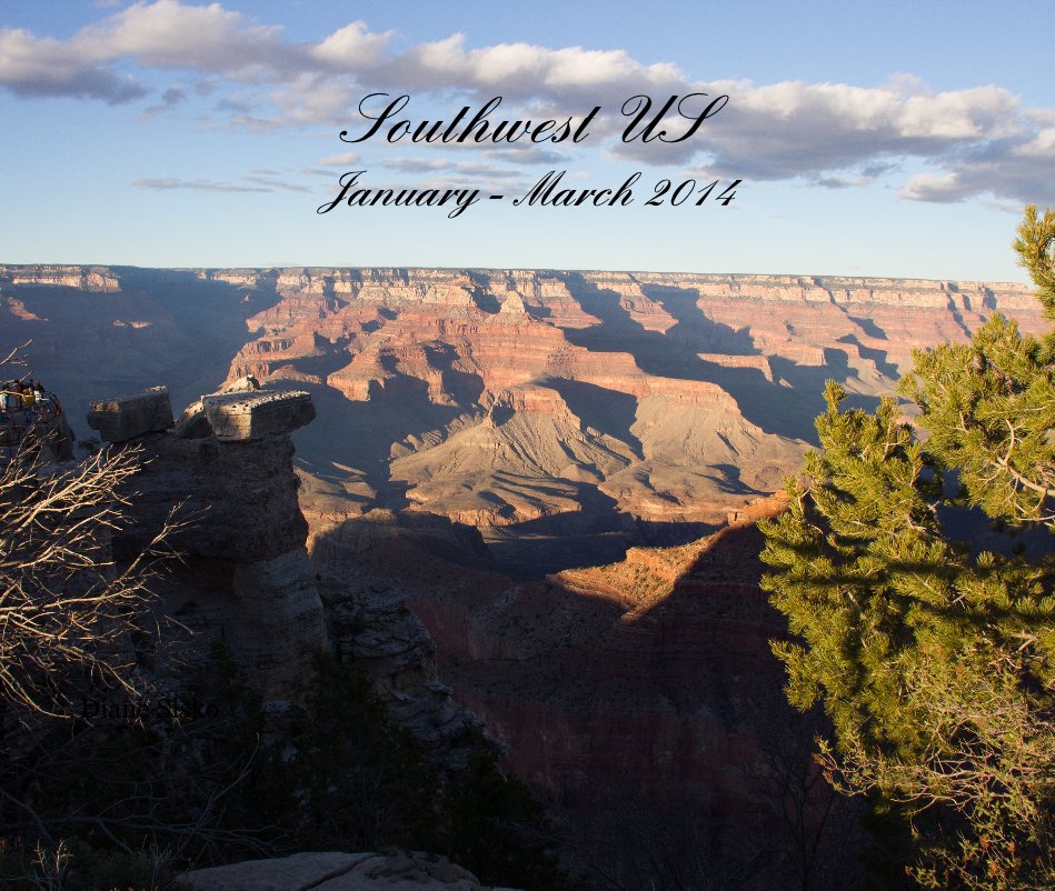View Southwest US January - March 2014 by Diane Sisko