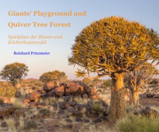 Giants' Playground and Quiver Tree Forest book cover