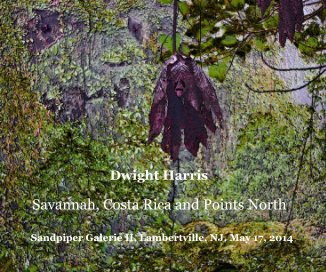Savannah, Costa Rica and Points North book cover