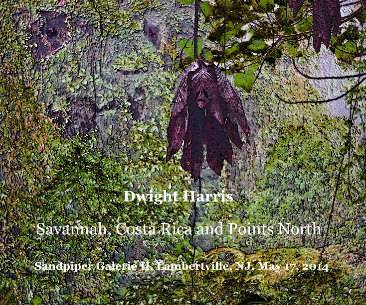 Ver Savannah, Costa Rica and Points North por Dwight Harris