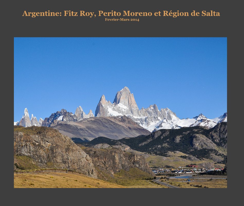 View Argentine: Fitz Roy, Perito Moreno et Région de Salta Fevrier-Mars 2014 by Balsamine