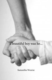 a beautiful boy was he... book cover