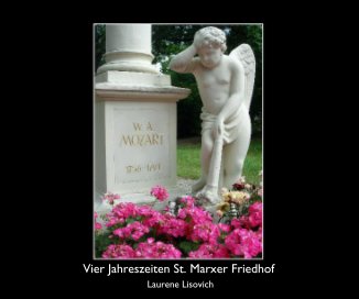Vier Jahreszeiten St. Marxer Friedhof book cover