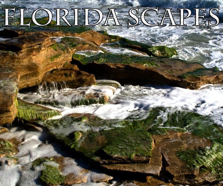 Visualizza Florida Scapes di Robert C. Stanton