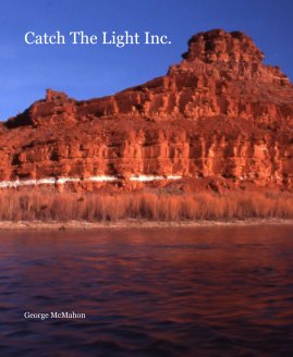 Catch The Light Inc. book cover