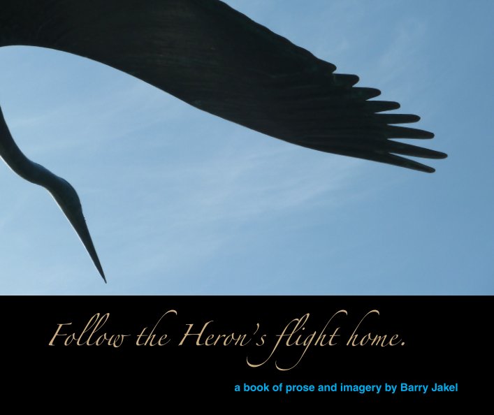 View Follow the Heron's flight home by Barry Jakel