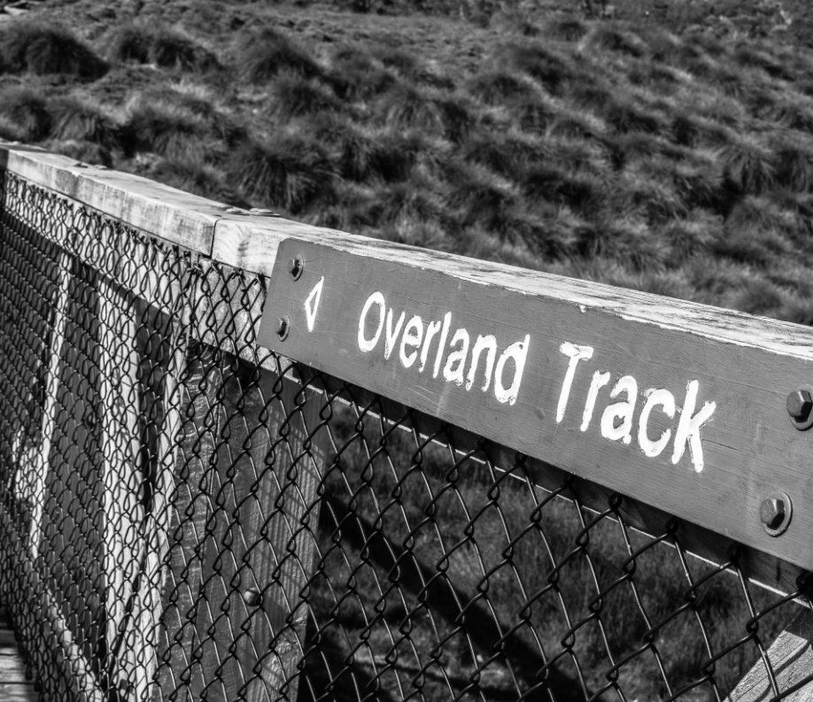 View Overland Track by Pauline Langmead