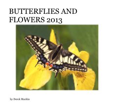 BUTTERFLIES AND FLOWERS 2013 book cover