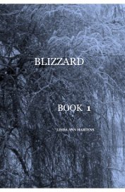 Blizzard Book 1 Linda Ann Martens book cover