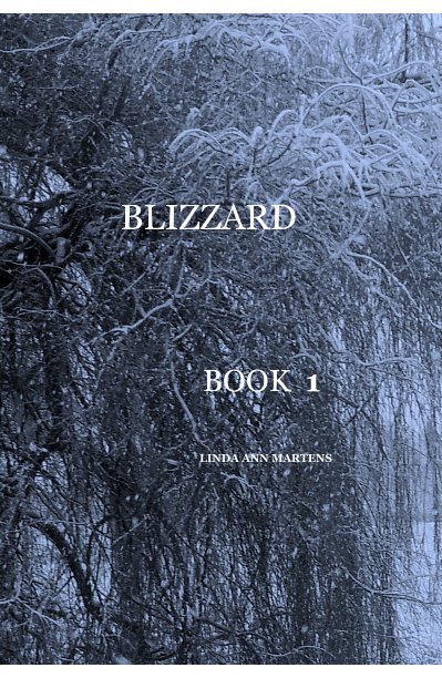 View Blizzard Book 1 Linda Ann Martens by Linda Ann Martens