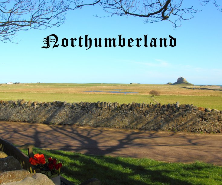 View Northumberland by Elaine Hagget