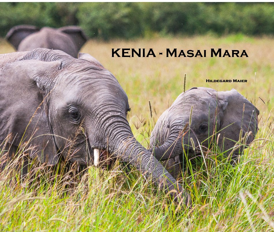 Ver KENIA - Masai Mara por Hildegard Maier