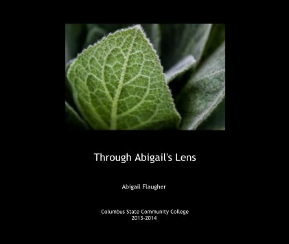 Through Abigail's Lens book cover