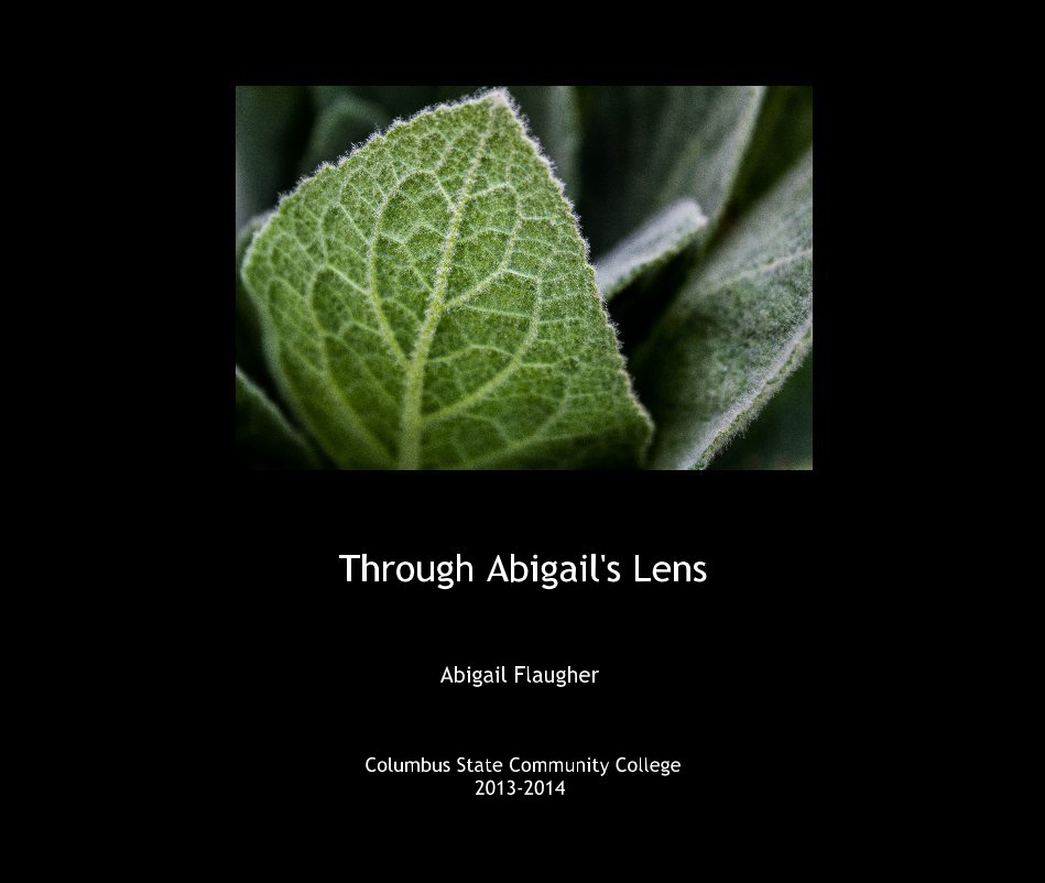Ver Through Abigail's Lens por Abigail Flaugher