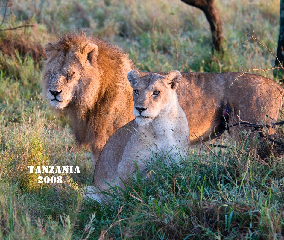 Ver Tanzania 2008 por cjthurman