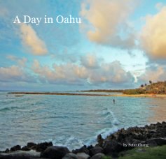 A Day in Oahu book cover