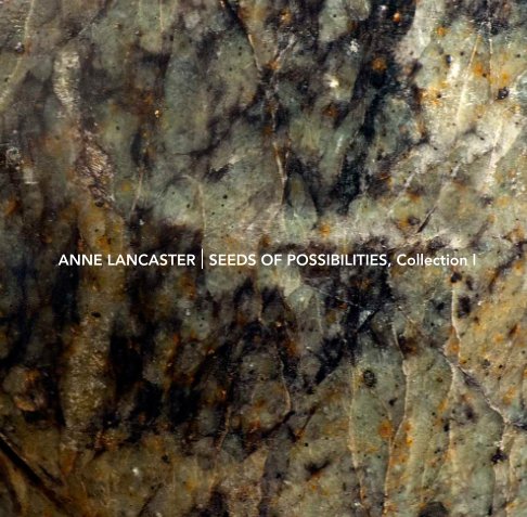 Bekijk Seeds of Possibilities op Anne Lancaster