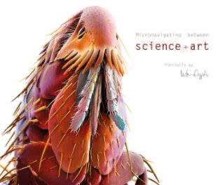 Micronavigating between Science + Art book cover